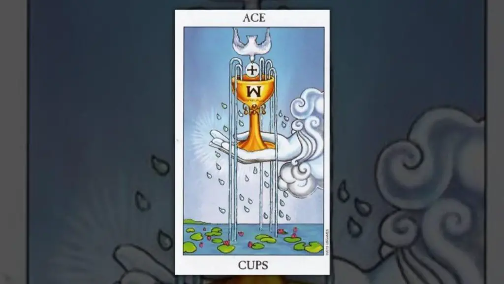 The Ace of Cups Tarot Card Description