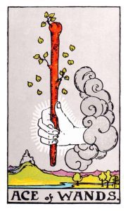The Ace of Wands Tarot Card (Upright)