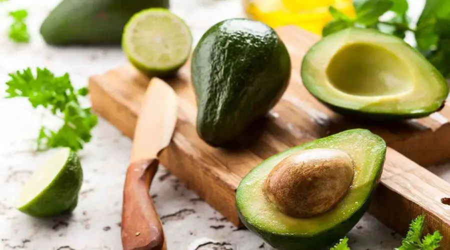 45 Best Avocado Jokes – 45 Funny Avocado Puns And One-Liners