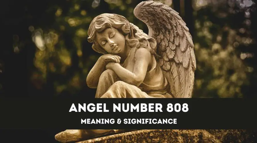 All You need to know about 818 Angel Number – Meaning & Significance