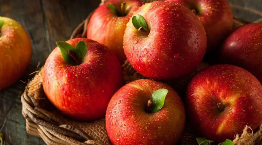 50 Best Apple Puns and Jokes – 50 Apple Puns One Liner