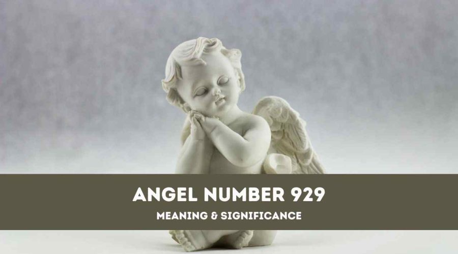 Angel Number 929 – A Complete Guide to Angel Number 929 Meaning and Significance
