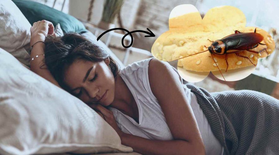 Most Comprehensive Guide on Dream About Roaches