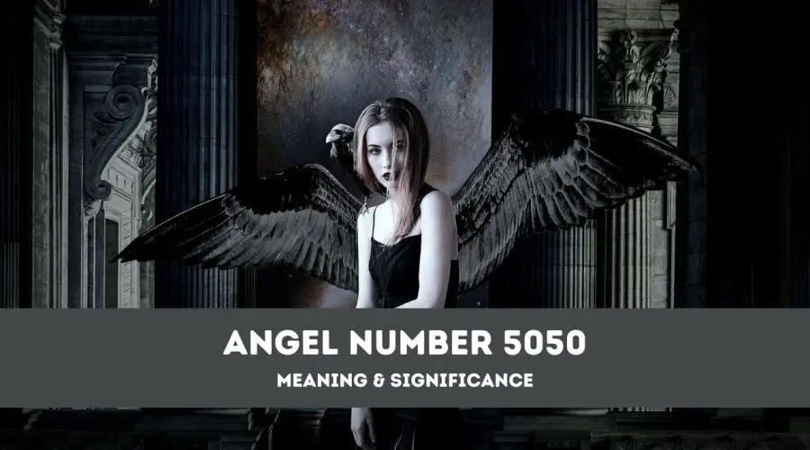 Angel Number 5050 – A Complete Guide to Angel Number 5050 Meaning and Significance