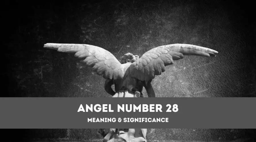 Angel Number 28 – A Complete Guide to Angel Number 28 Meaning and Significance