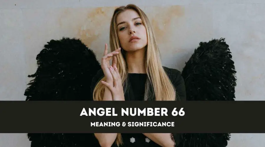 Angel Number 66 – A Complete Guide to Angel Number 66 Meaning and Significance