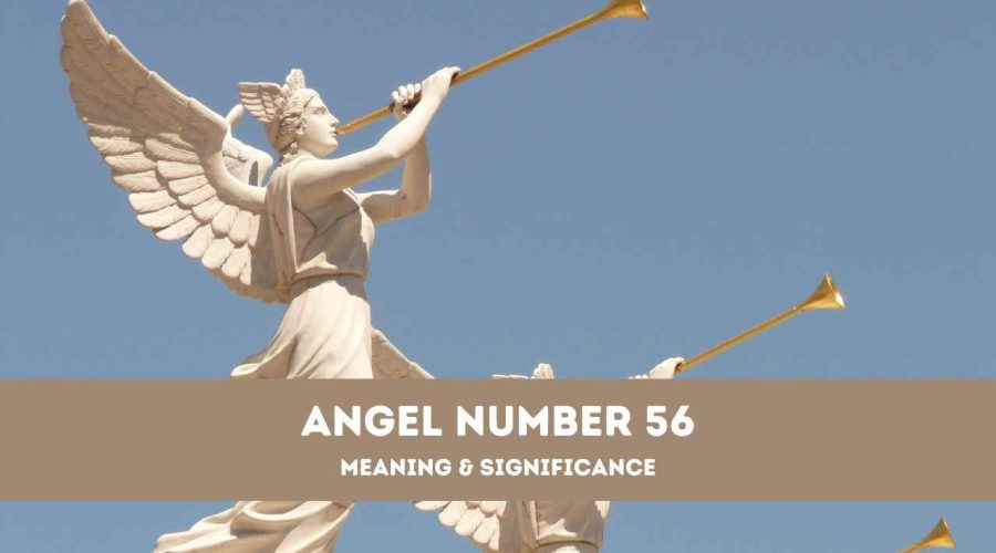 Angel Number 56 – A Complete Guide to Angel Number 56 Meaning and Significance