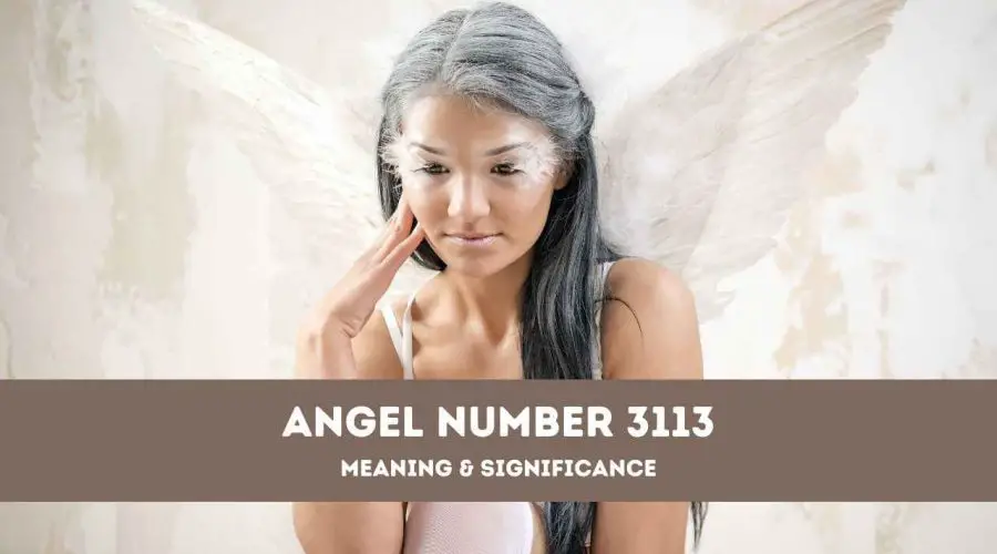 Angel Number 3113 – A Complete Guide to Angel Number 3113 Meaning and Significance