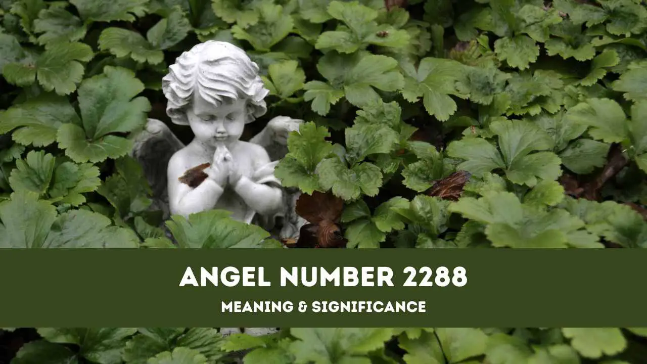 2288 Angel number - Angel Numbers - Sticker