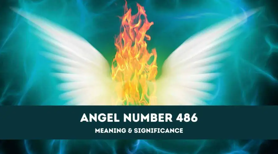 Angel Number 486 – A Complete Guide to Angel Number 486 Meaning and Significance