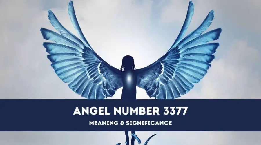 Angel Number 3377 – A Complete Guide to Angel Number 3377 Meaning and Significance