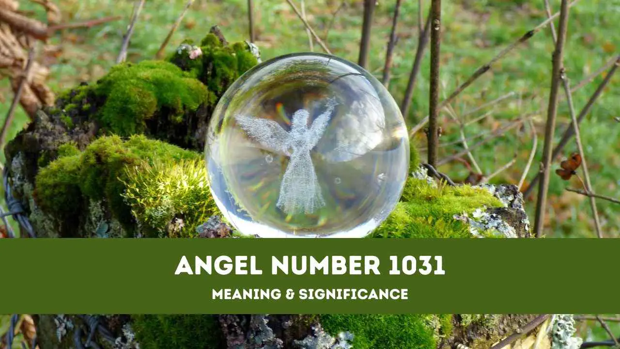 Angel Number 1031 – A Complete Guide to Angel Number 1031 Meaning and ...