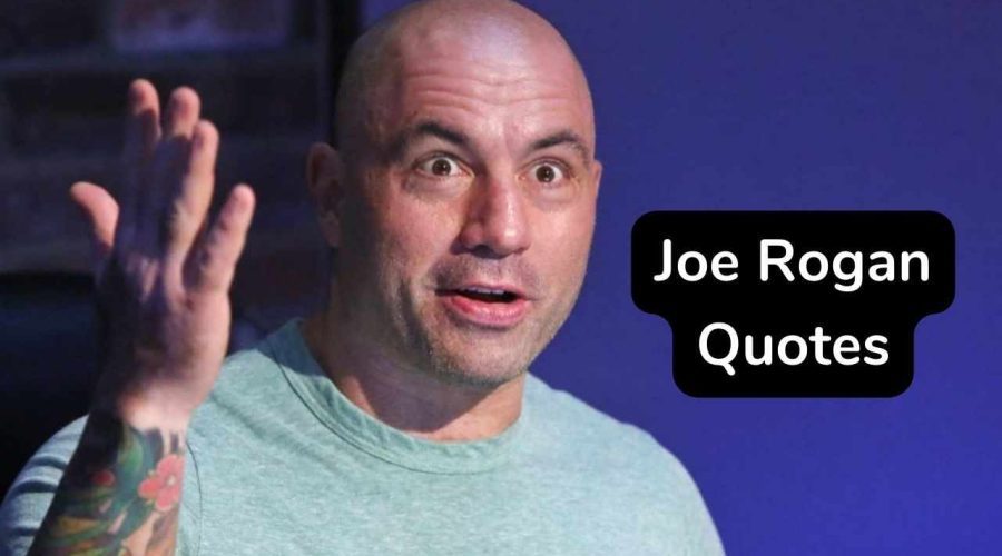30 Best Joe Rogan Quotes – 30 Joe Rogan Quotes About Working Out