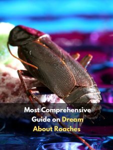 Most Comprehensive Guide on Dream About Roaches