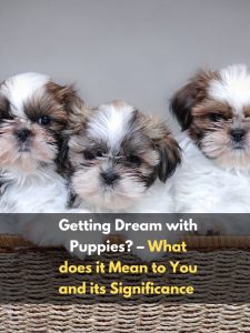 Getting Dream with Puppies?