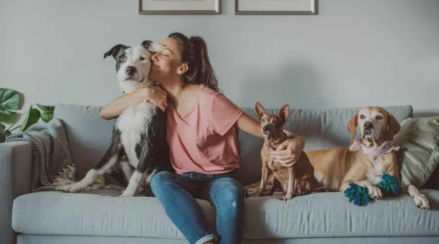 4 Zodiac Signs Who Are Extremely Indulgent Toward Their Pets