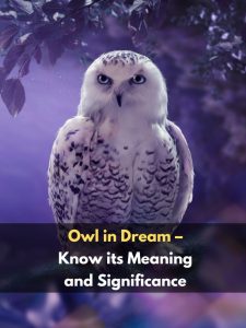 Owl in Dream – Know its Meaning and Significance