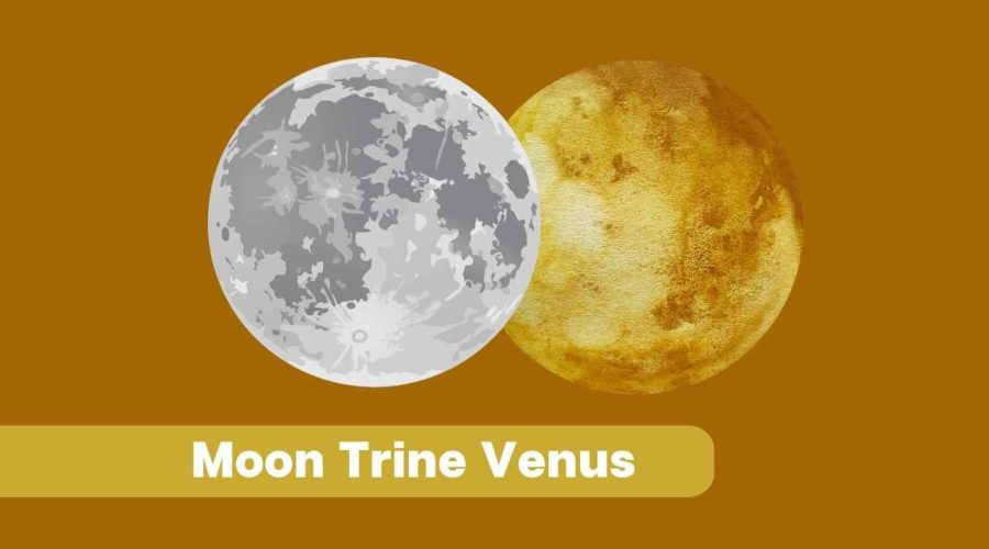 Moon Trine Venus – Everything You Should Know