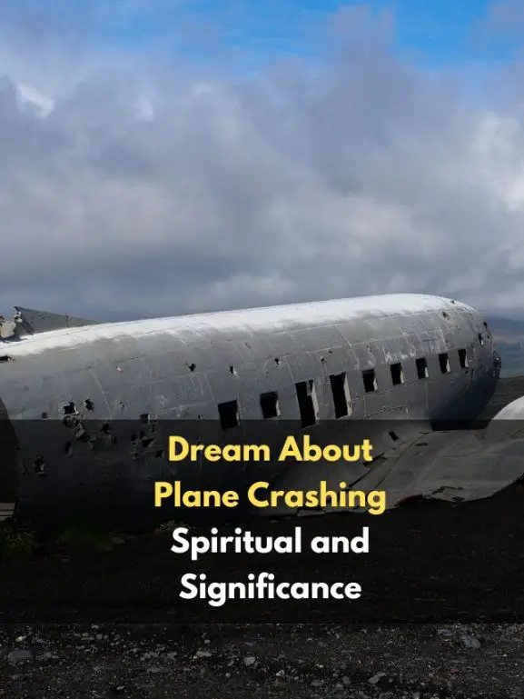 Dream About Plane Crashing Know its Spiritual and Significance eAstroHelp
