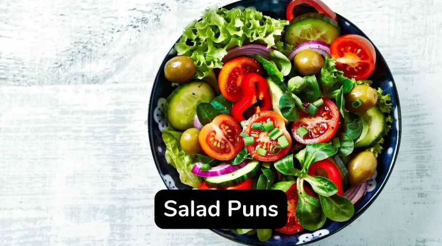 45 Trending Salad Puns and Jokes Quotes You will Love