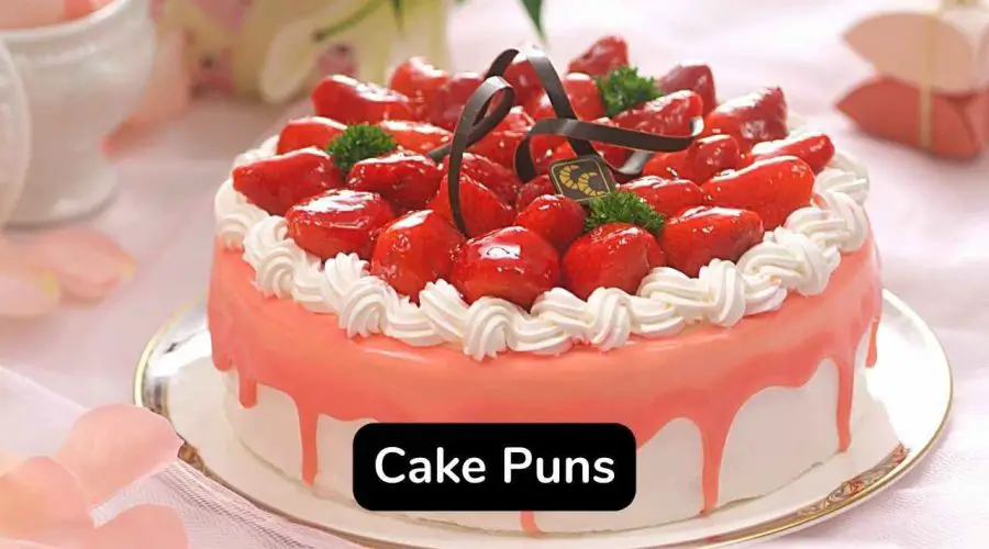 50 Funny Cake Puns and Jokes You Will Love