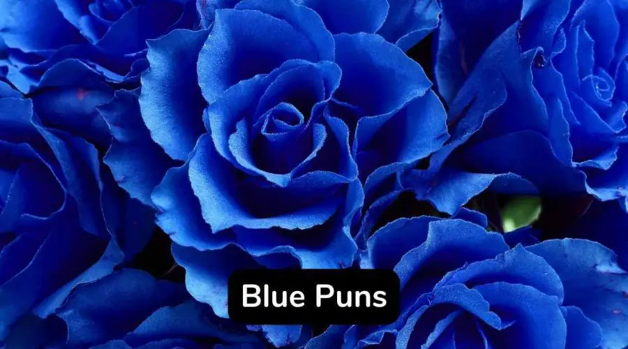 50 Funny Blue Puns and Jokes You Should Not Miss!