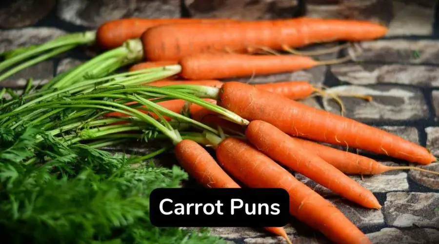 40 Funny Carrot Puns and Jokes You Will Love