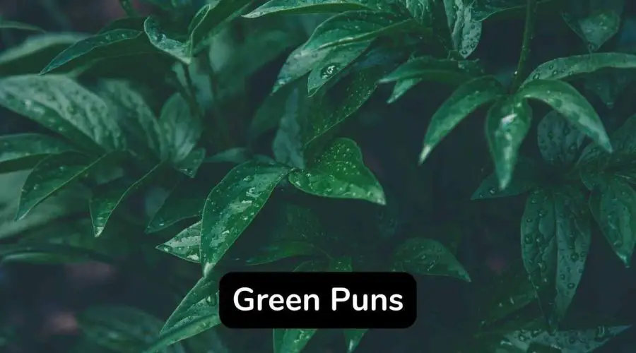 45 Funny Green Puns and Jokes You Should Not Miss!