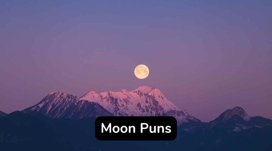 45 Funny Moon Puns and Jokes You Will Love