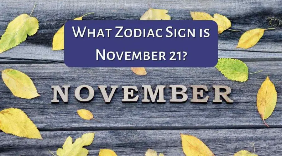 What Zodiac Sign is November 21?