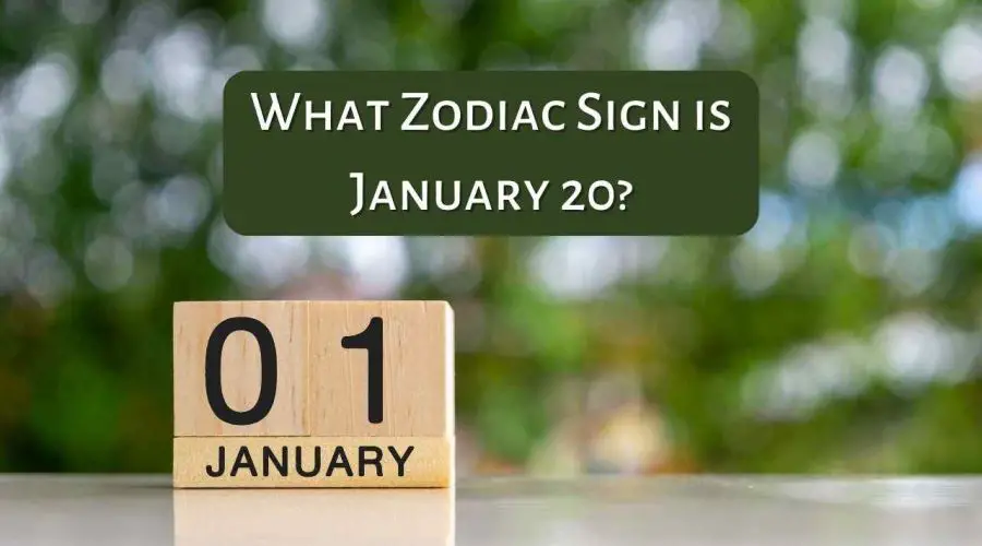 What Zodiac Sign is January 20?