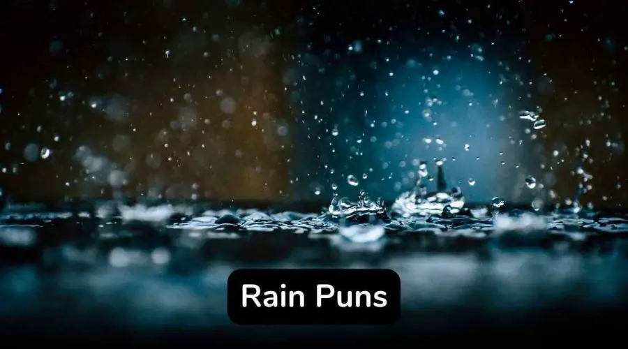 45 Funny Rain Puns and Jokes You Should Not Miss!
