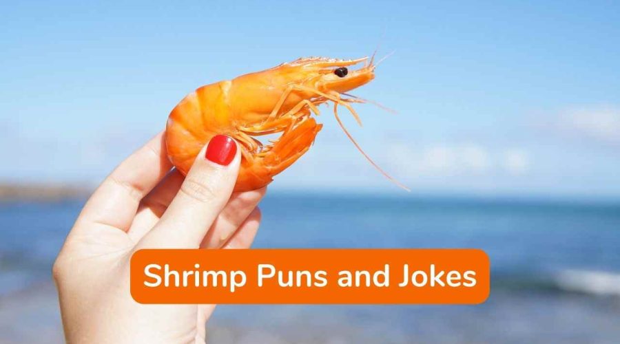 45 Funny Shrimp Puns and Jokes You Will Love