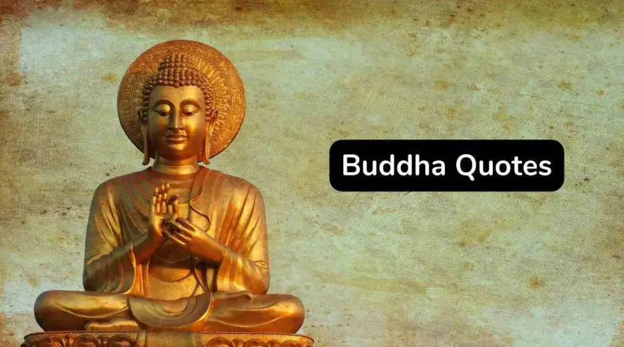 40 Best Buddha Quotes On Karma To Inspire You - eAstroHelp