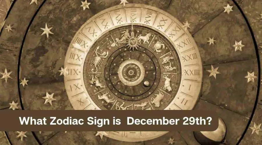 What Zodiac Sign is December 29th?
