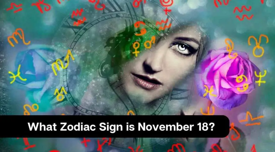 What Zodiac Sign is November 18?