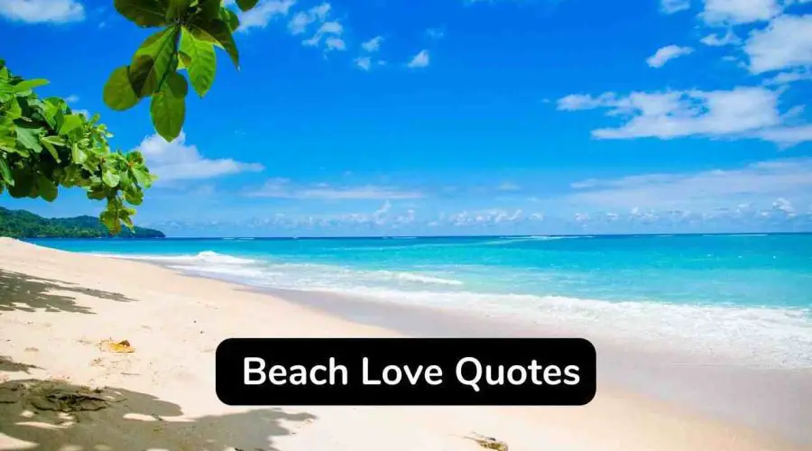 45 Trending Beach Love Quotes You Will Love