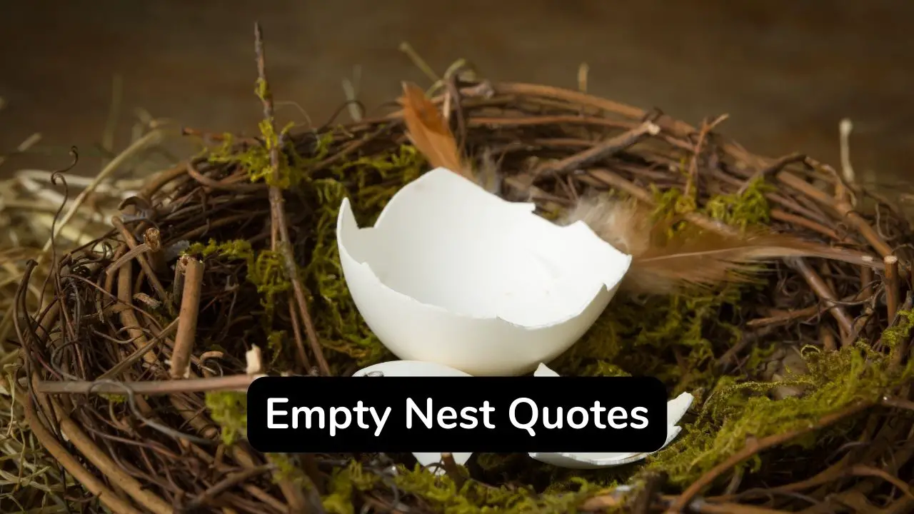 empty nest inspirational quotes