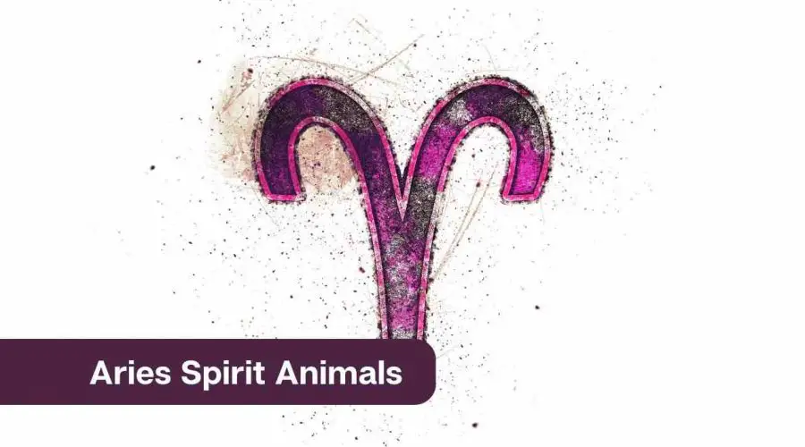 Aries Spirit Animals – All You Need to Know