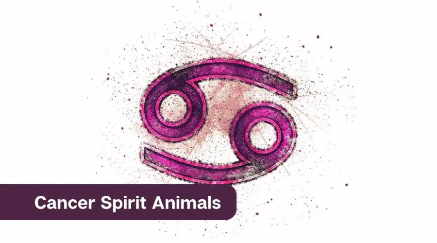 Cancer Spirit Animals – All You Need to Know