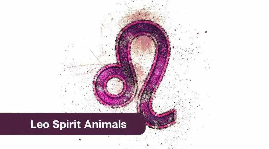 Leo Spirit Animals – All You Need to Know