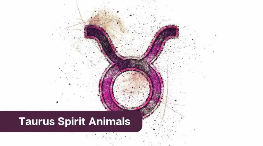 Taurus Spirit Animals – All You Need to Know