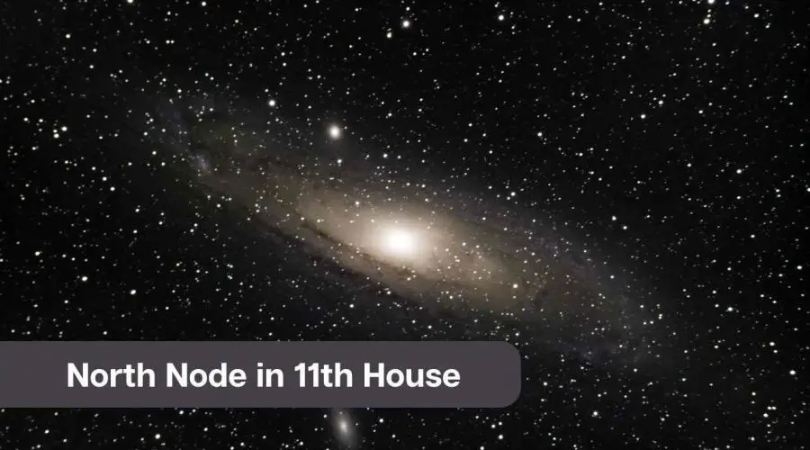 North Node in 11th House – A Comprehensive Guide