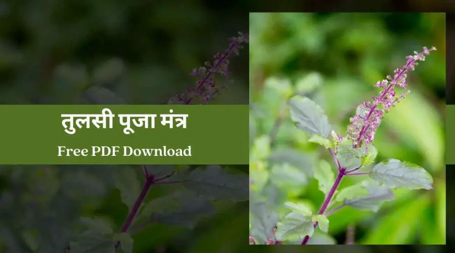 Tulsi Mantra – तुलसी पूजा मंत्र | Free PDF Download