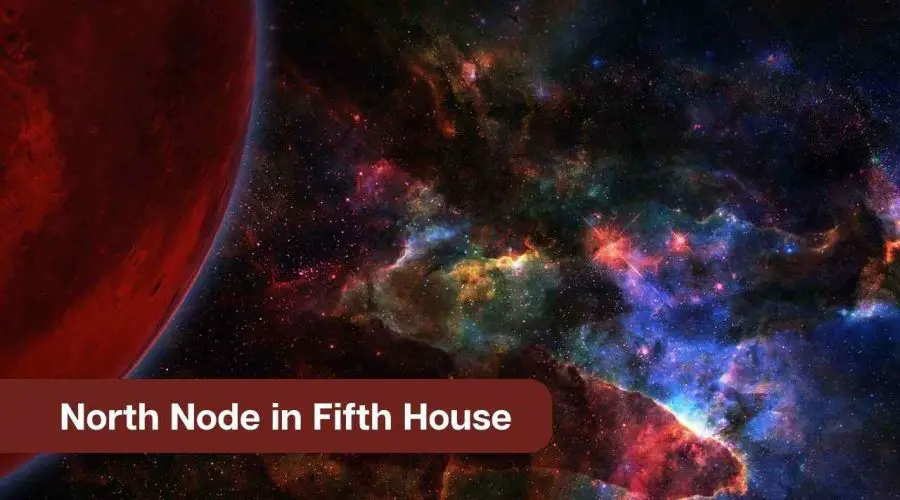 North Node in Fifth House – A Comprehensive Guide