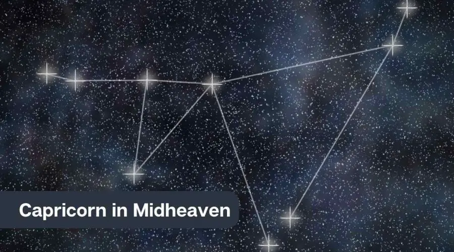 Capricorn Midheaven – A Complete Guide on Midheaven in Capricorn