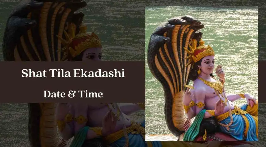 Shat Tila Ekadashi 2024 Date, Time, Rituals, and Significance