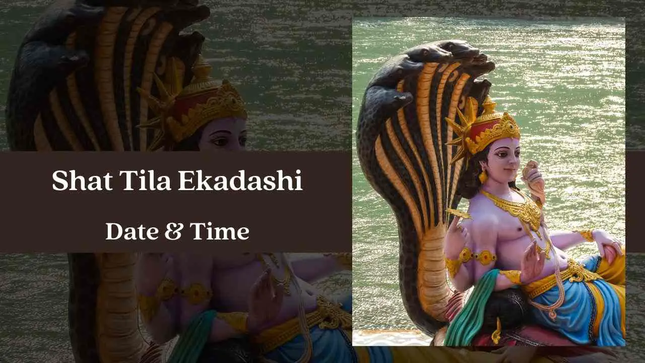 Shat Tila Ekadashi 2024 Date, Time, Rituals, and Significance eAstroHelp