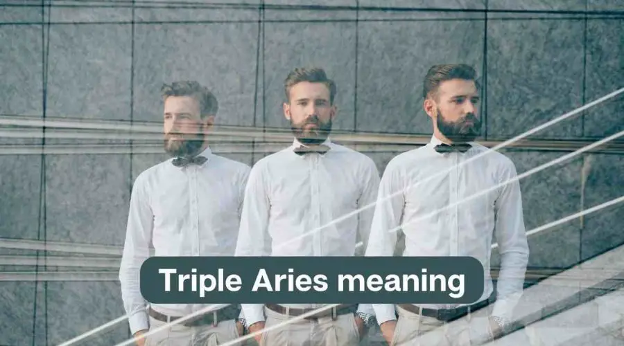 Triple Aries – All You Need to Know about Triple Aries