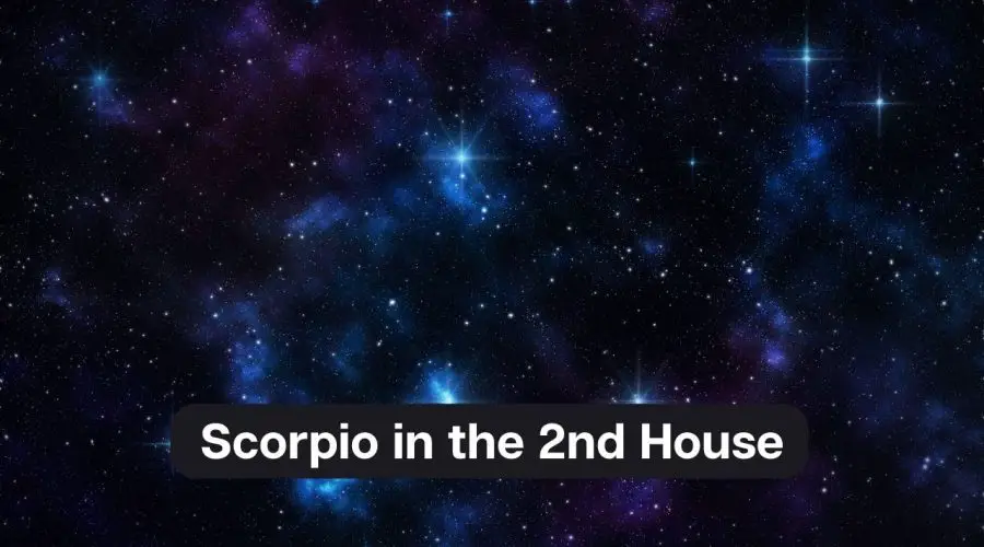 Scorpio in the 2nd House – A Comprehensive Guide